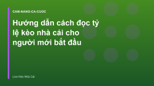 Read more about the article Hướng dẫn cách đọc tỷ lệ kèo nhà cái cho người mới bắt đầu